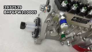 3977539BHF6PW110005