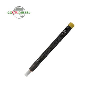 comprare Iniezione di carburante diesel Common Rail EJBR05601D 166000897R online manufacture