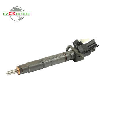 comprare Iniettore carburante 0445116012 0445116013 0445116064 0445116065 02C2C40577 per Citroen C5 C6 3.0 online manufacture