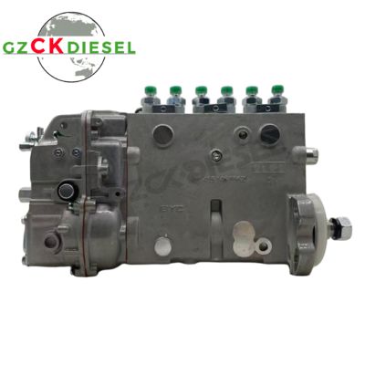 comprare Pompa iniezione carburante BYC 10402376075 13021363 per motore TBD226B fabbricazione online