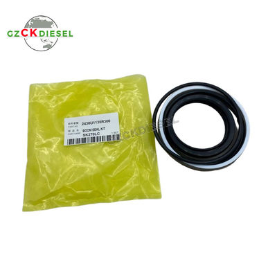 comprare Kit guarnizioni cilindro braccio di qualità OEM 2438U1135R300 per escavatore SK220 SK220-3 SK270LC fabbricazione online
