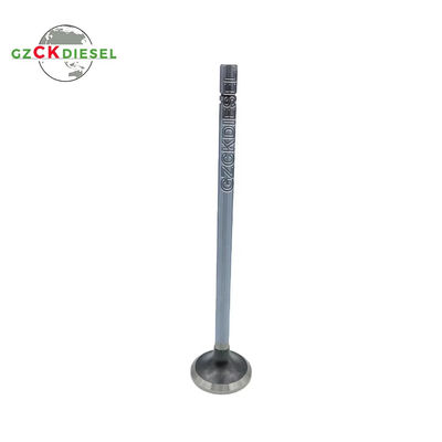 Valvola di aspirazione 4016438 3800955 3641540 per motore diesel QSK45 QSK60