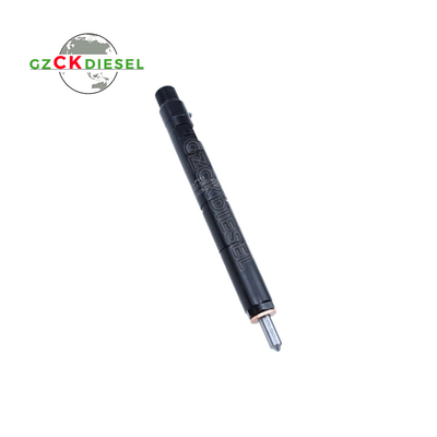 Iniezione di carburante diesel EJBR04001D 166009384R per motore Delphi